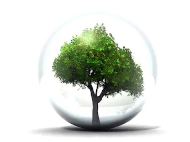 Protection de l’environnement et écologie